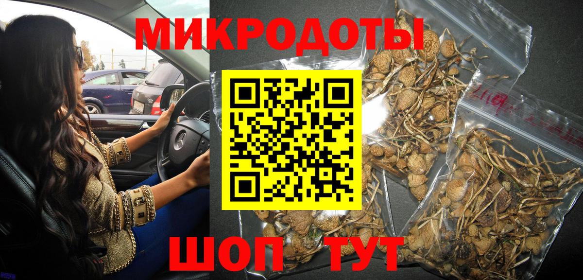 Галлюциногенные грибы Psilocybine cubensis Чапаевск