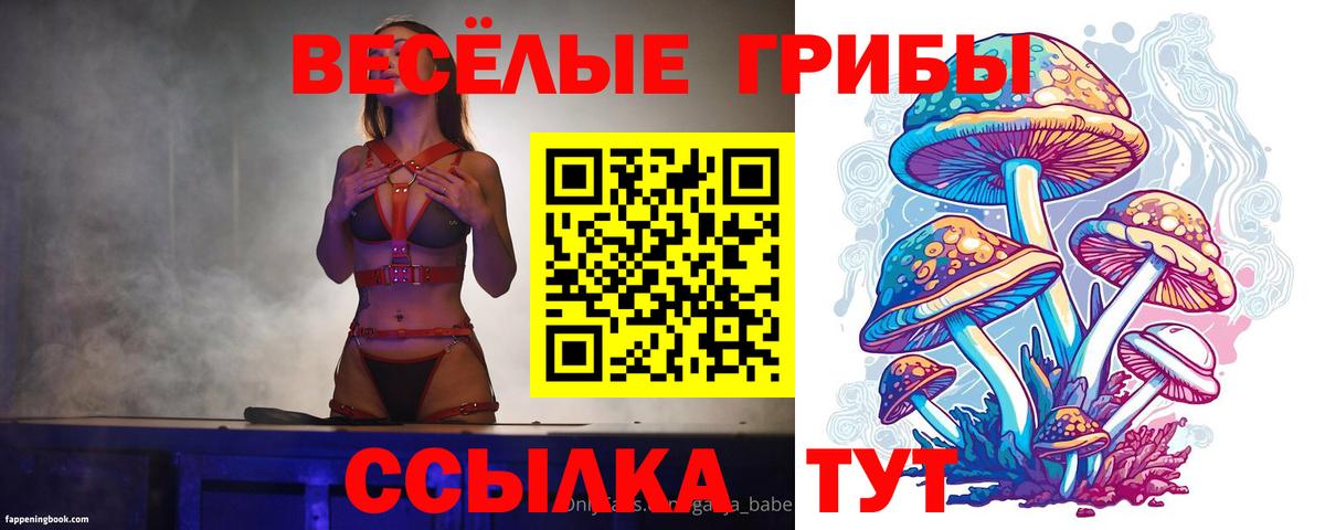 Лсд 25  Вход с VPN  Мефедрон  Купить закладку  Чапаевск  МЕФ   ГАШ  COCAIN 