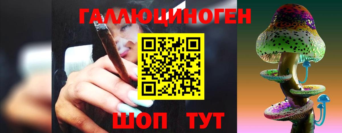 Чапаевск  Галлюциногенные грибы ЛСД  Вход с VPN 